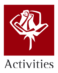 A Rose for Distinction